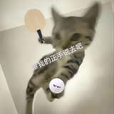 我世新來的
