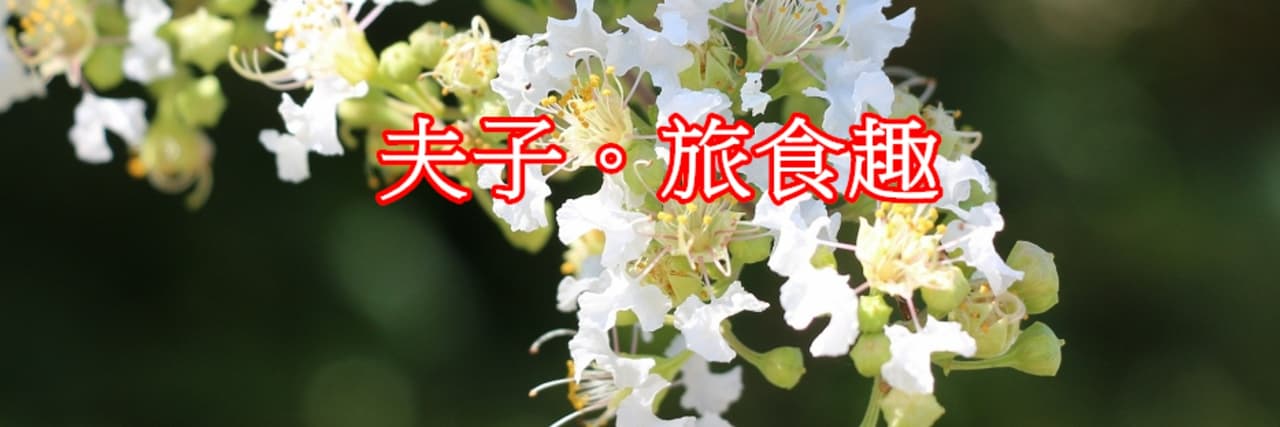 夫子。旅食趣