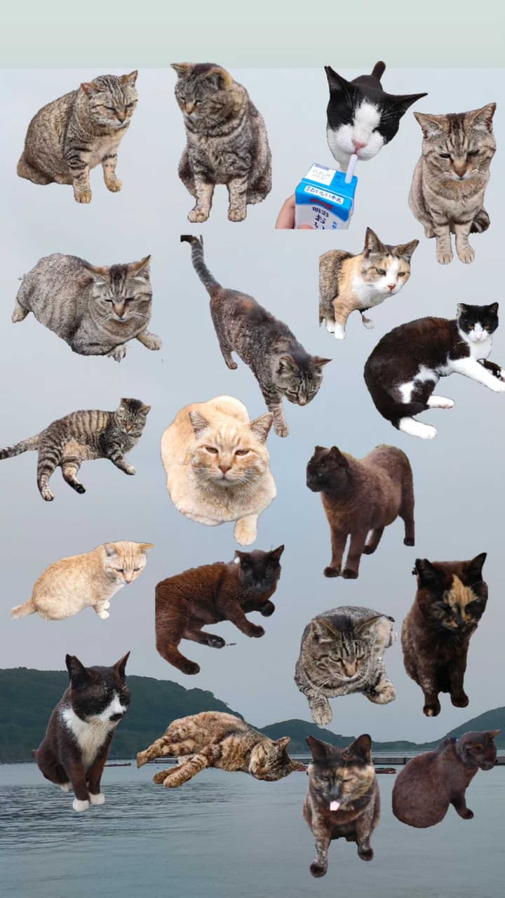 megapx