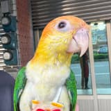 福利熊