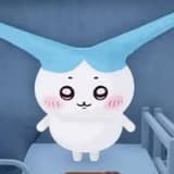 ori527