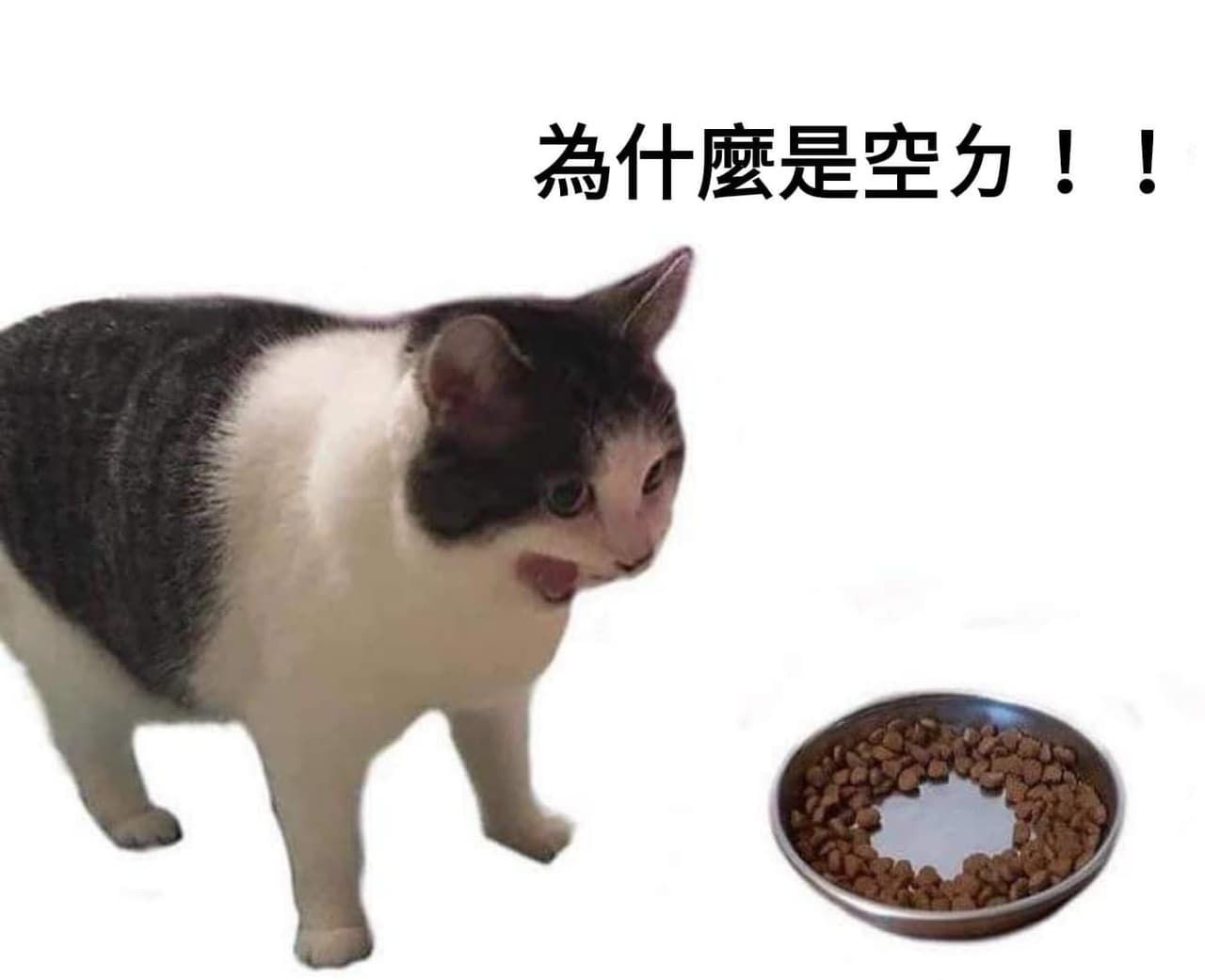megapx