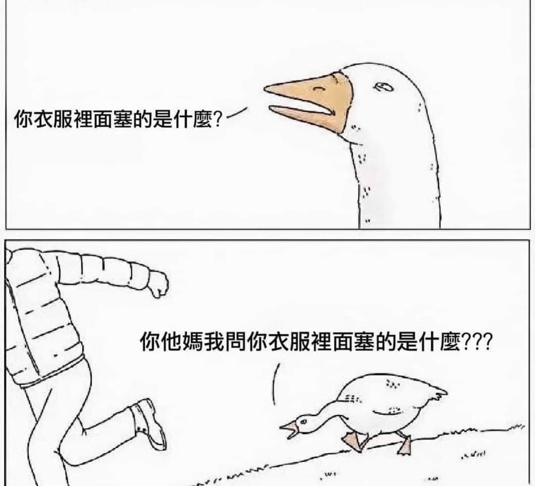 鵝真的好兇喔 - 梗圖板 | Dcard