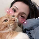 meow05