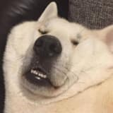 桃汁天天