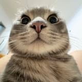 01:08