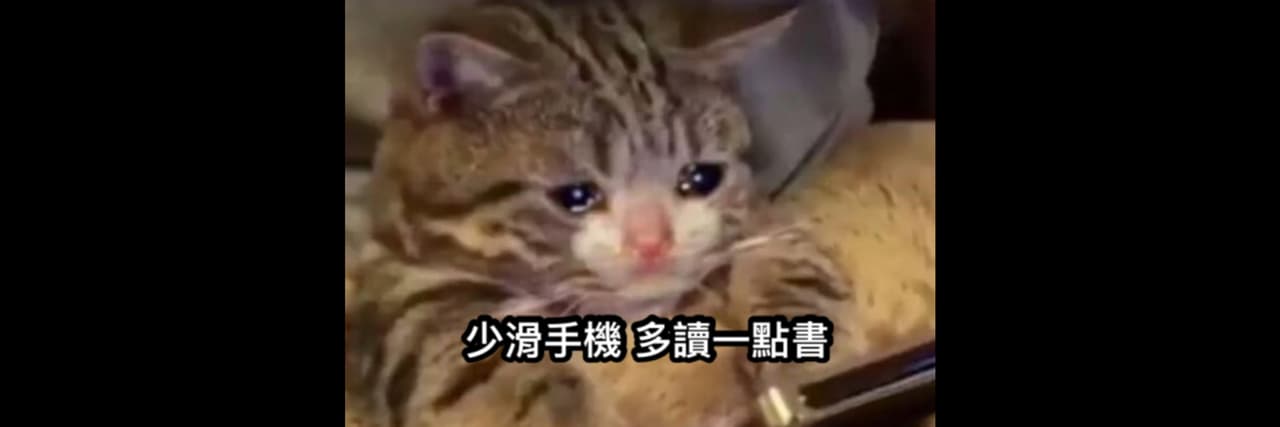 燕尾