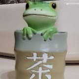 9487注孤生
