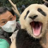 福豬豬公主