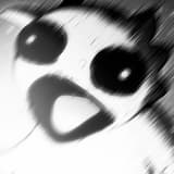 黑熊