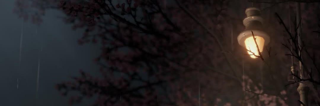 熊熊想睡覺