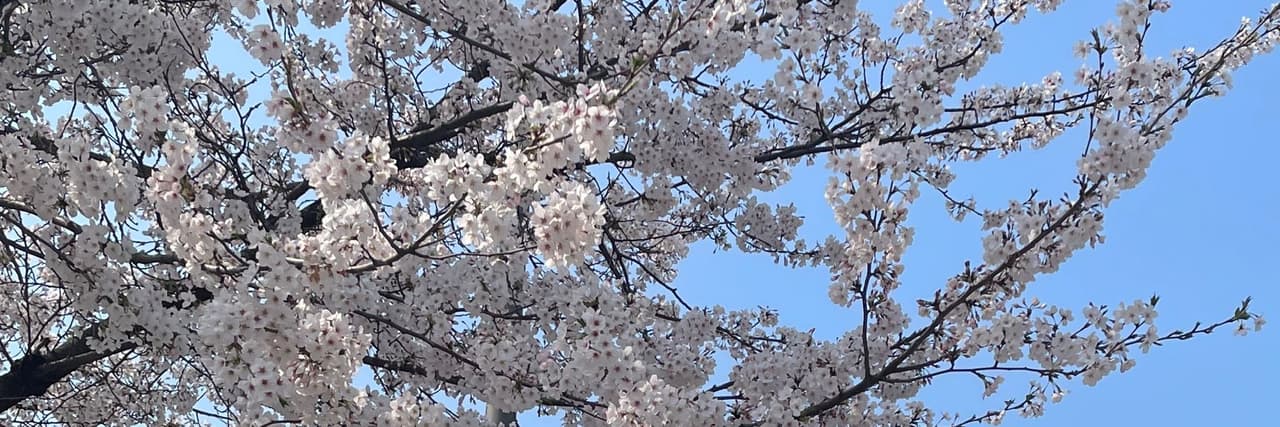 松鼠栗子🐿🌰