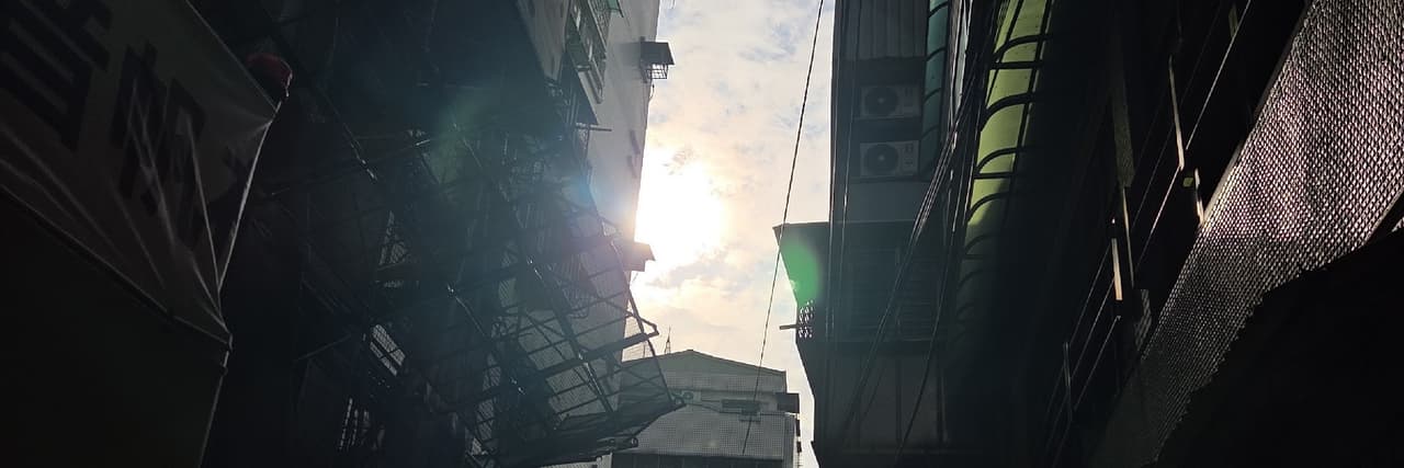 龍舌蘭Sofia
