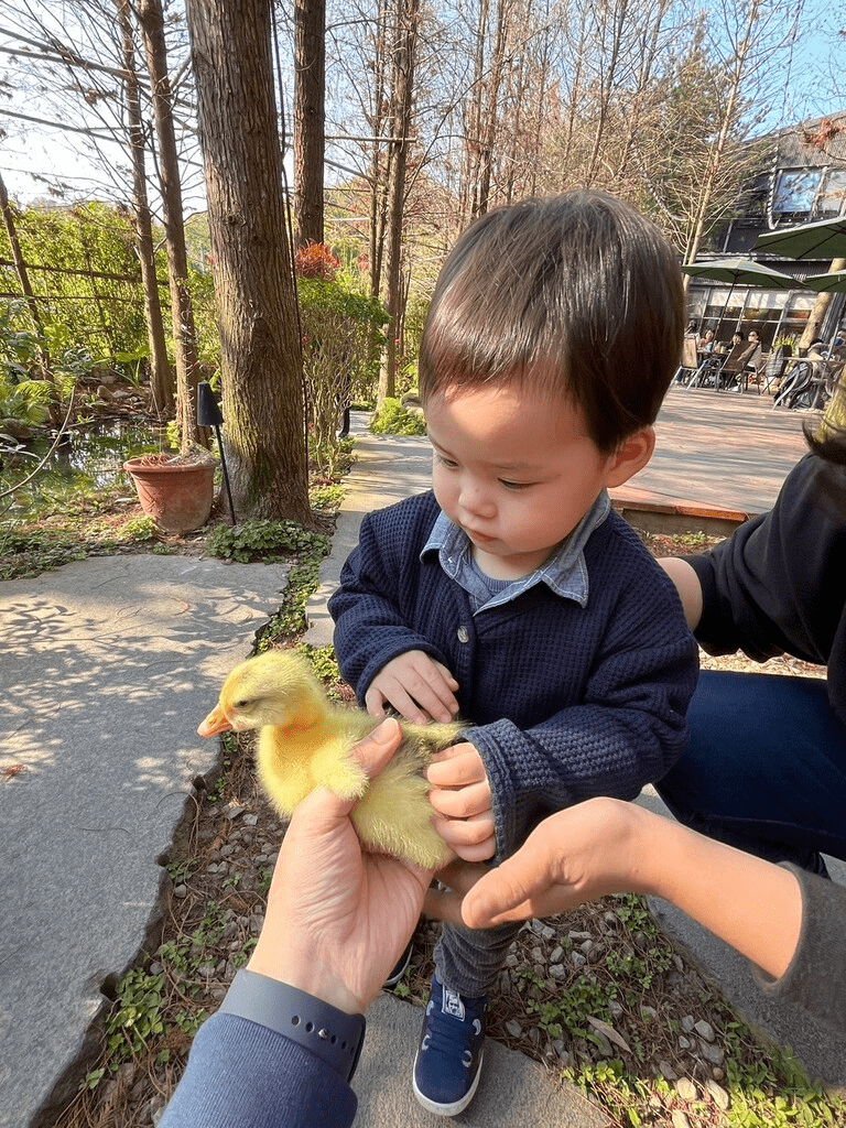 台中親子農場推薦】4 間中部親子農場評比🐑，周末出遊好選擇- 七分之二的探索(@twosevenths72)  Dcard