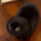 貼哩