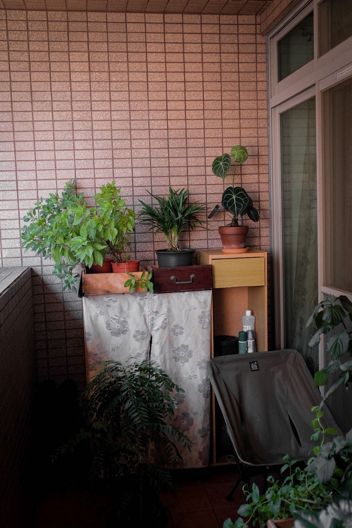 #徵租 我要回國了/轉租//徵室友一名//性別友善 - Image 3