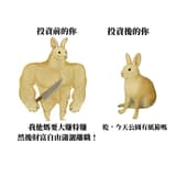 東方兔