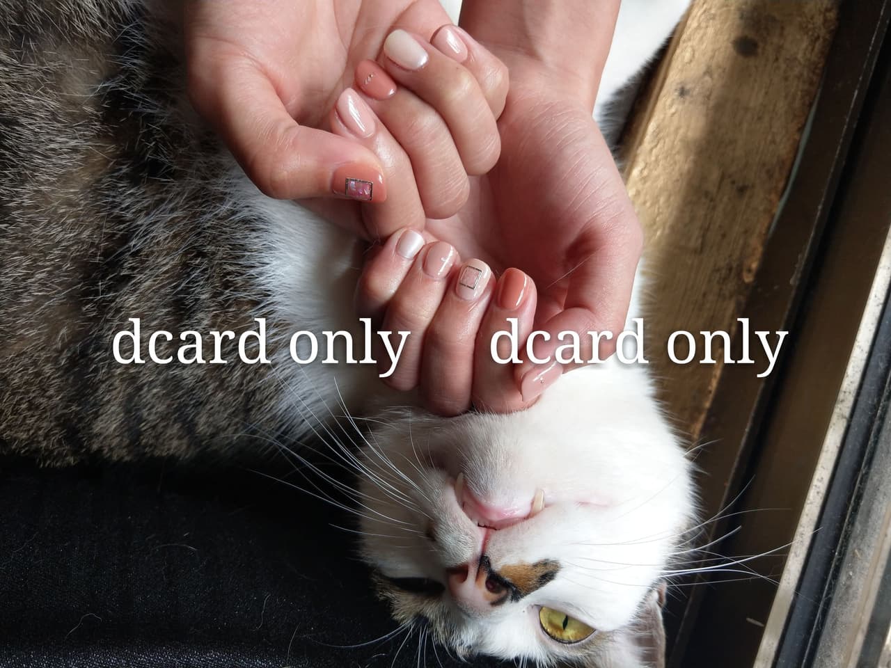 megapx
