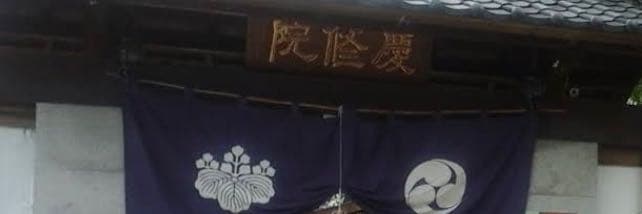 䕒兔🐰