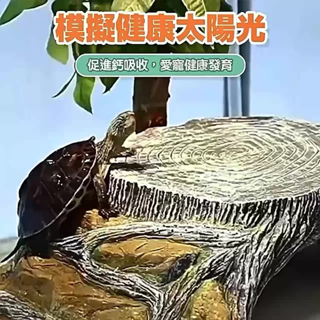 蘇卡達的相關討論與真實心得｜Dcard