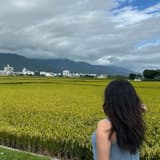 🌸桑妮輕旅行🌸