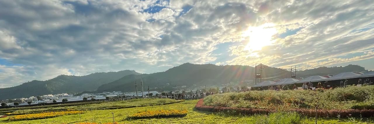 無心插柳柳橙汁