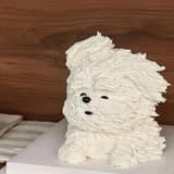 波逼波逼