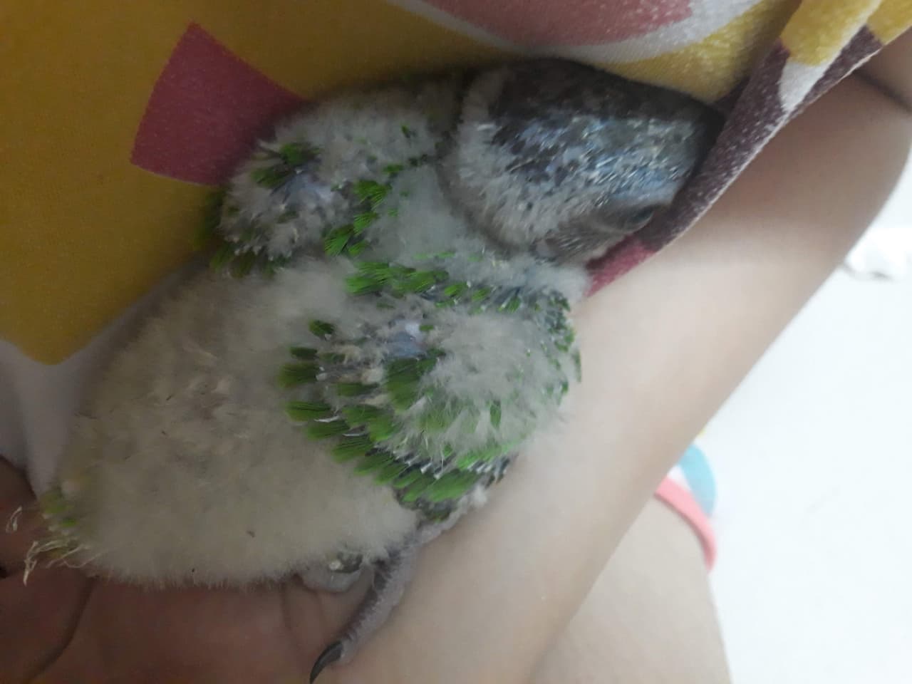 megapx