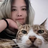cat_best_ever