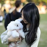 我的哥哥是怪獸