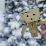 pinkdanboard