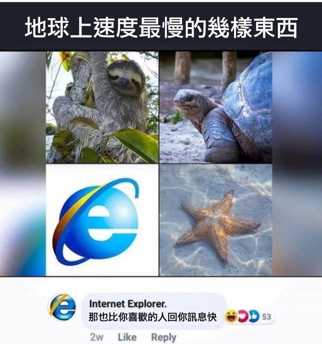 地球上速度最慢的幾樣東西 - 梗圖板 | Dcard
