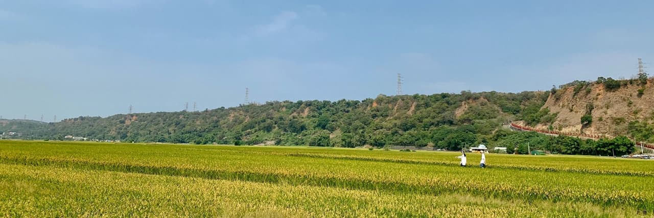 jiajiala