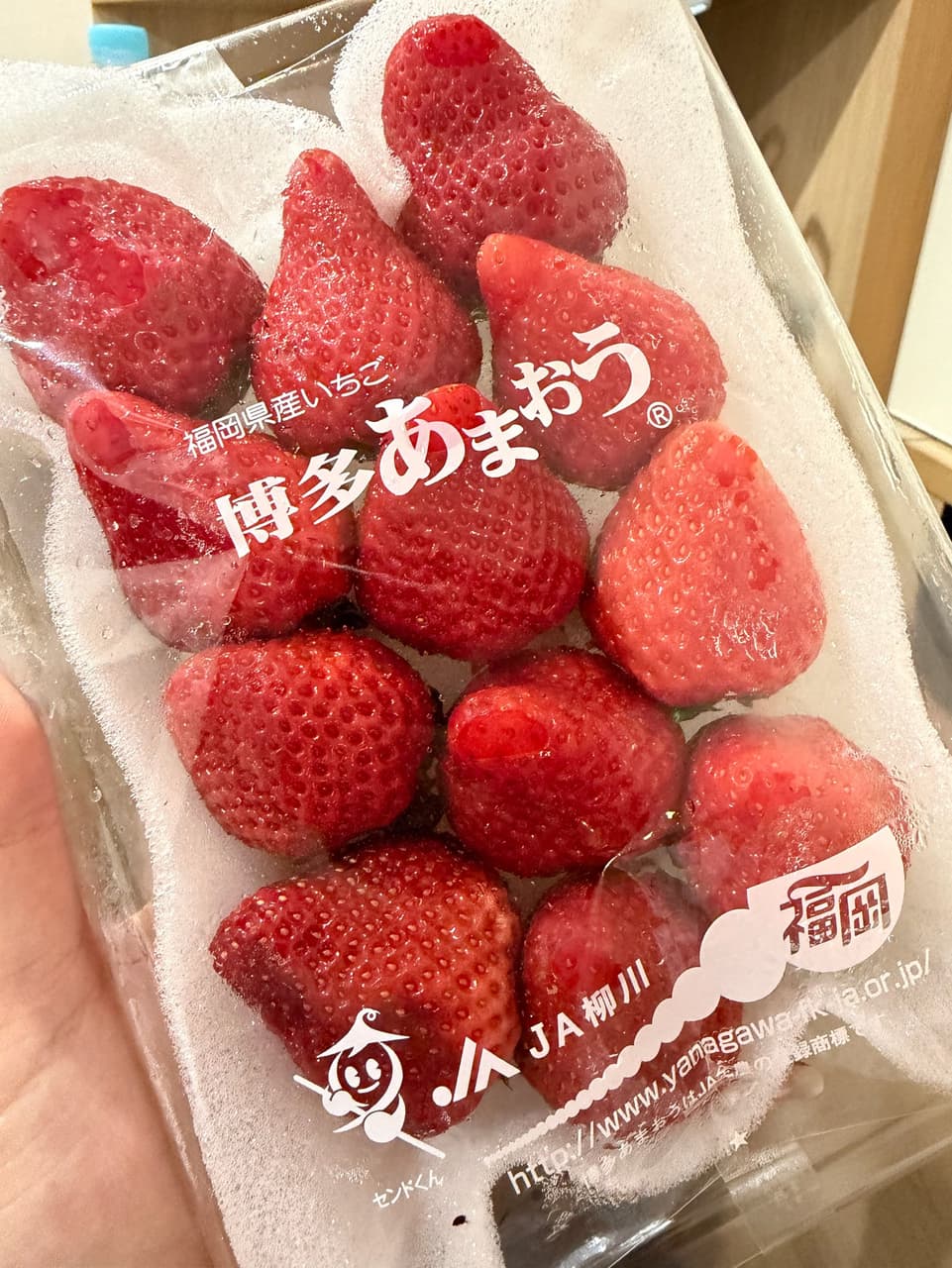 megapx