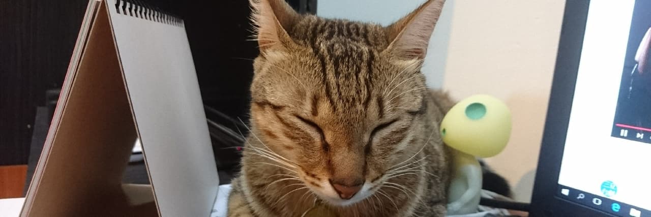 工讀生貓貓4我