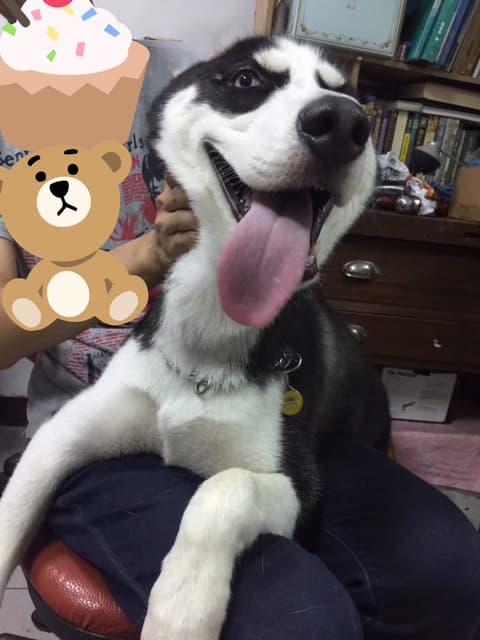 megapx