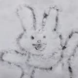 抱起瓜瓜暴衝