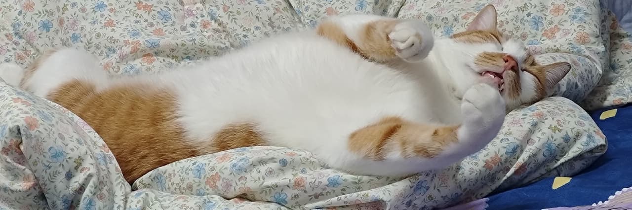 想成為自己