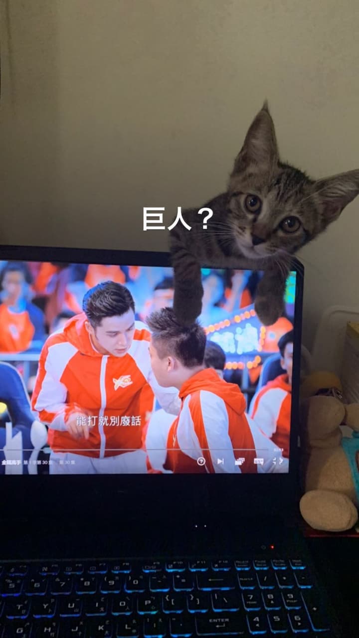 megapx