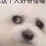 靜宜大學