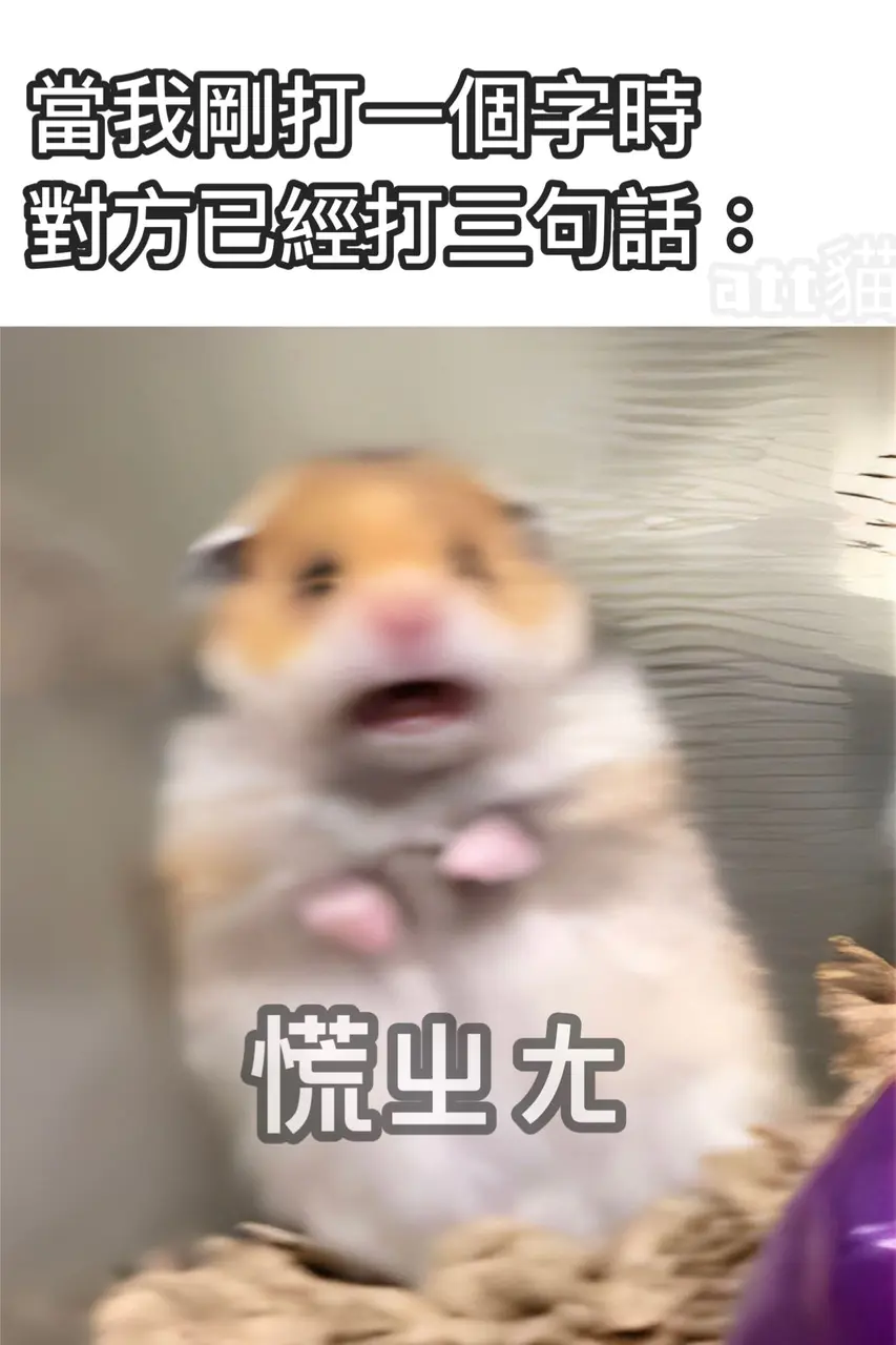 動物梗圖系列 | Dcard