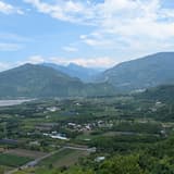 憂鬱の北極熊の憂鬱