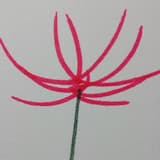 彼岸花松鼠