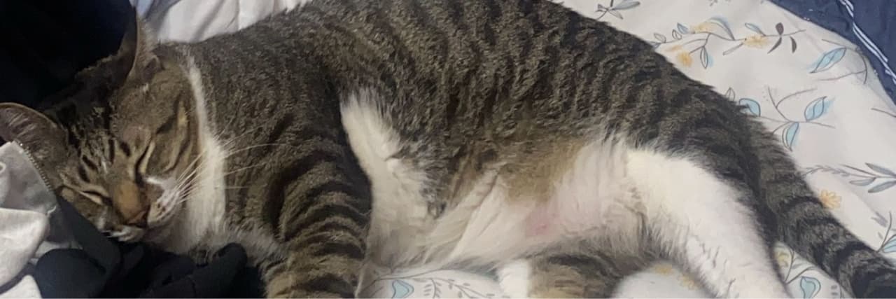 不想開學