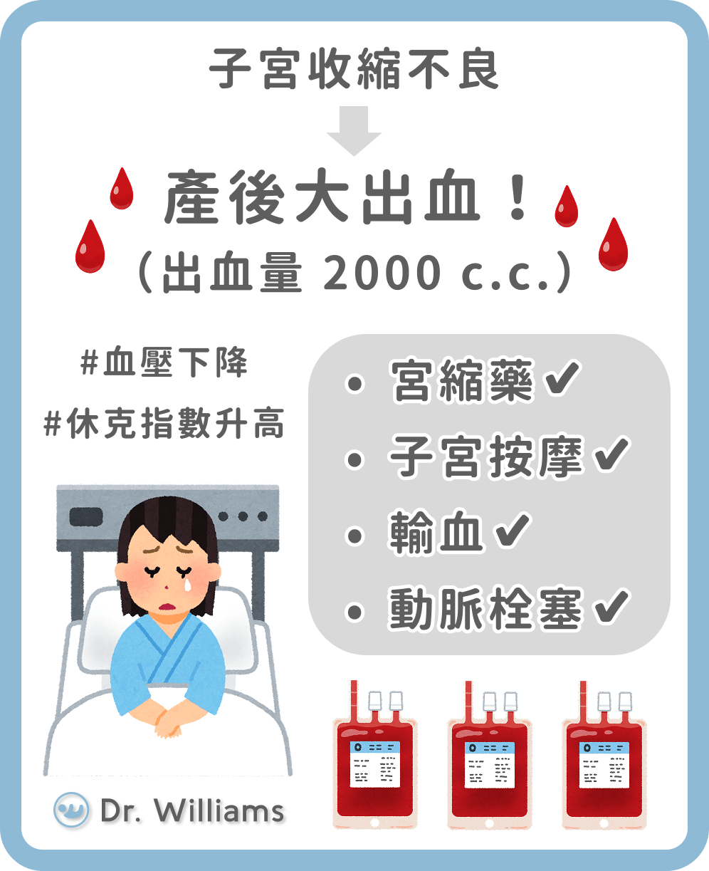 同卵雙胞胎的相關討論與真實心得｜Dcard