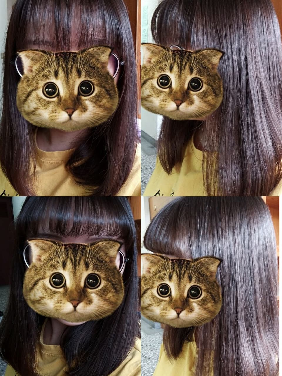 megapx