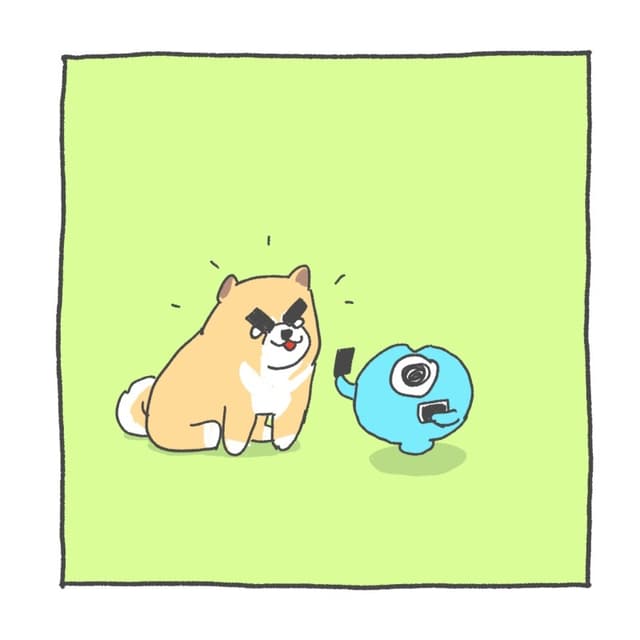 megapx