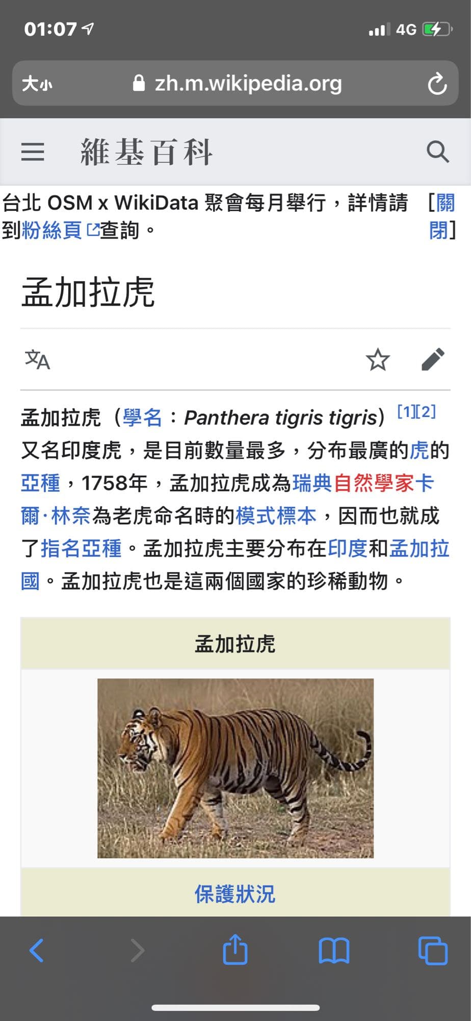 這是一隻處於幼年期的孟加拉虎🐯 - 寵物板| Dcard