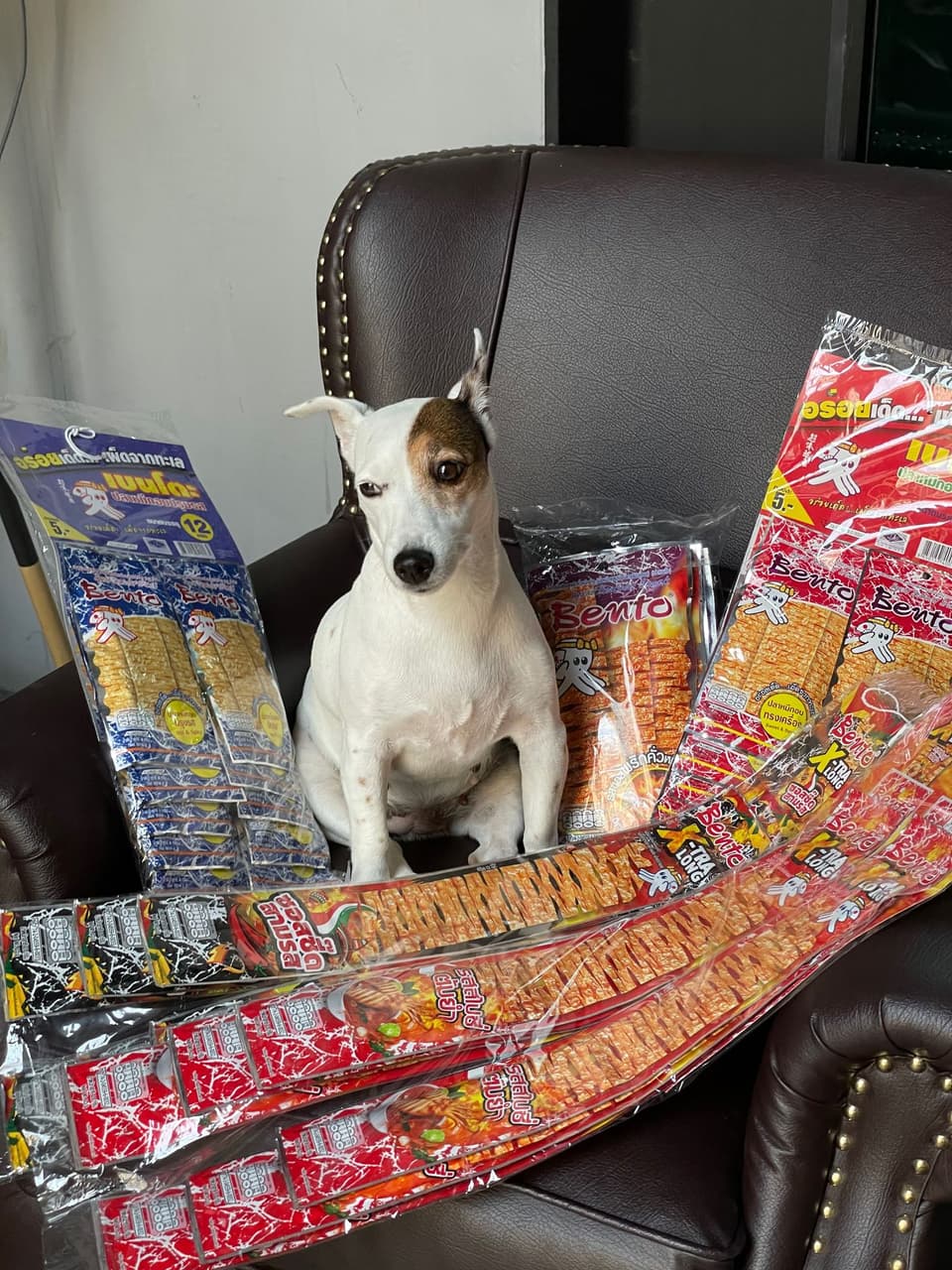 megapx