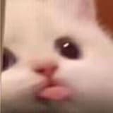 eisforeat